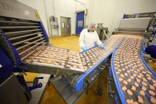 Конвейер в холодильном цехе