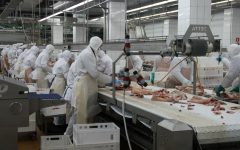 Как работает холодильный цех