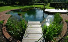 пруд на приусадебном участке