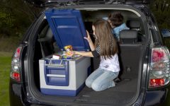 Что нужно учитывать выбирая холодильник для авто
