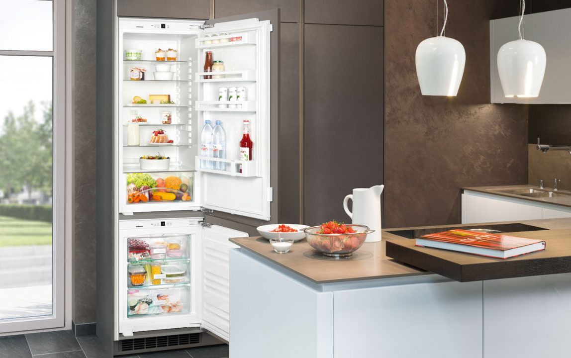 Краткий обзор холодильников компании Тетрасис