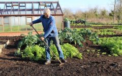 Готовим участок к холодным месяцам