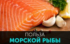 Вся правда о пользе рыбы для человека