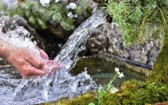 Главный источник чистой воды в вашем доме