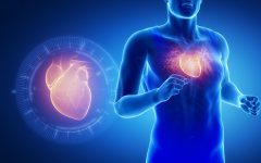 Как физические упражнения влияют на здоровье сердца?