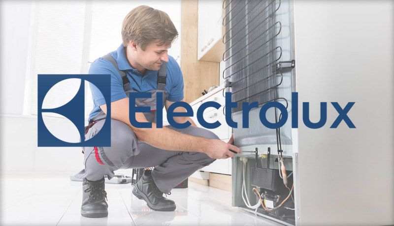 Почему следует доверить ремонт холодильника Electrolux специалисту?