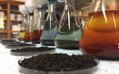 Почему важно делать лабораторный анализ почвы?