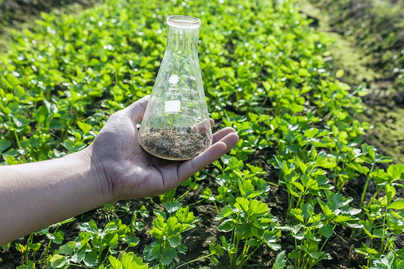 Почему важно делать лабораторный анализ почвы?