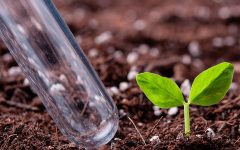 Отбор проб почвы - это отправная точка при контроле за питательными веществами и плодородием почвы