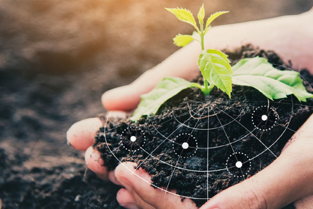 Отбор проб почвы - это отправная точка при контроле за питательными веществами и плодородием почвы