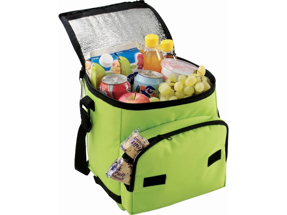 сумки-холодильники