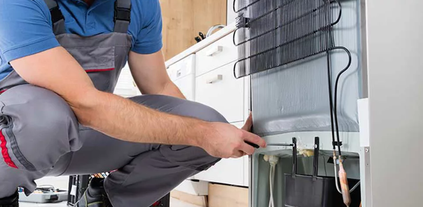 Какой сервис выбрать для ремонта холодильника в Бишкеке?