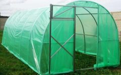 Преимущества полиэтиленовой пленки в качестве покрытия для теплиц