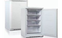 Какая морозильная камера лучше: вертикальная или горизонтальная