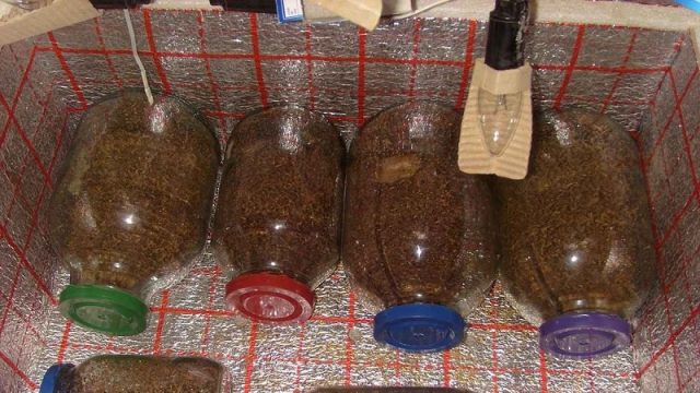 Ферментация табака - что это такое и как делается