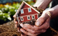 Стоит ли  оформлять право собственности на дачный участок?