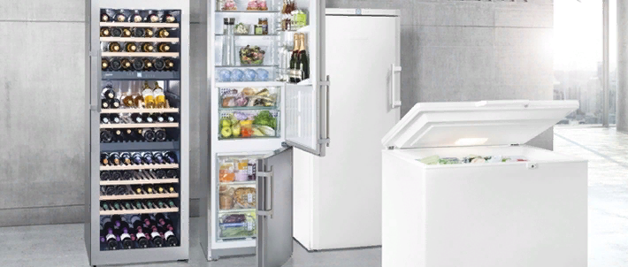 Причины неисправности морозильной камеры