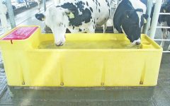 Поилки - незаменимое оборудование у фермера