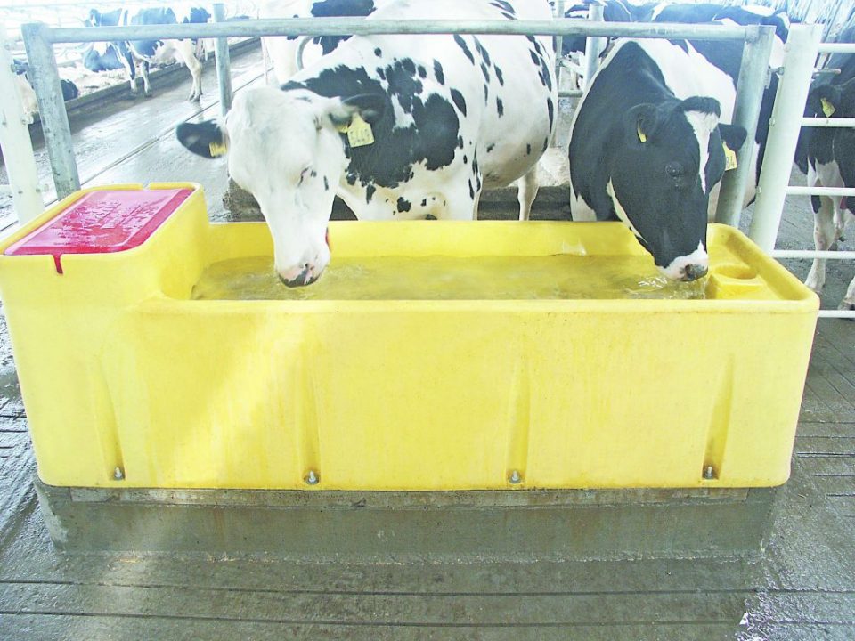 Поилки - незаменимое оборудование у фермера