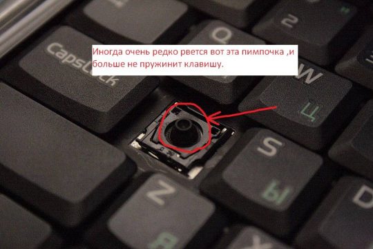 Клавиатура ноутбука не работает: что делать и где чинить