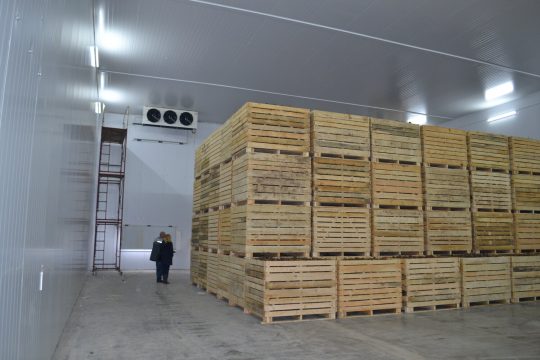 Овощехранилища нового поколения: как точная температура и влажность продлевают срок реализации на 3–6 месяцев